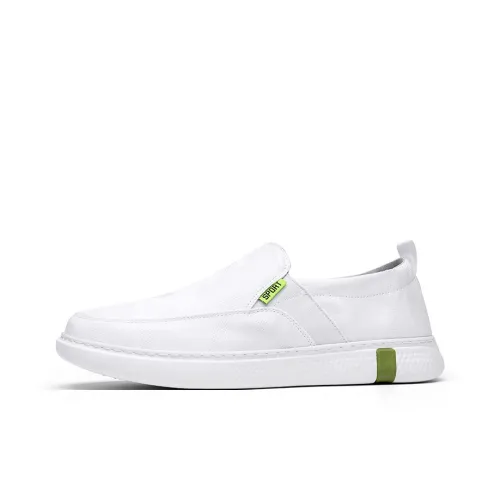 Boogie Bear Low-Top Canvas Shoes Men's