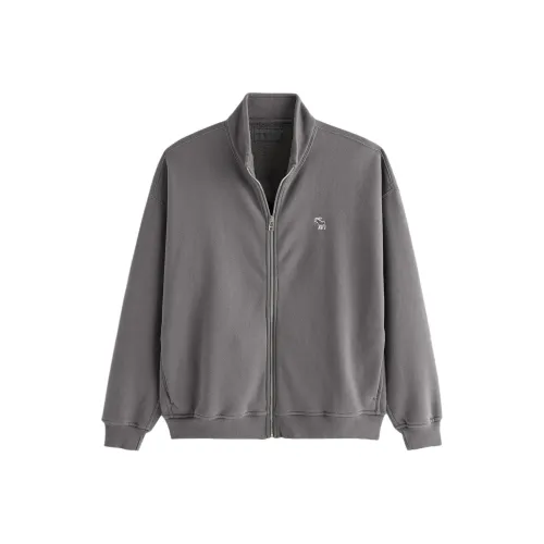 Abercrombie＆Fitch Серый Мужской Свитшот