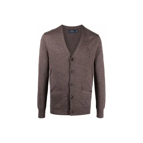 Polo Ralph Lauren Коричневые Мужские Свитера