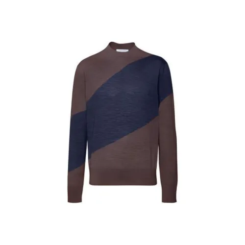 Ferragamo Умбра Мужские Свитера