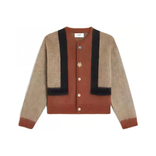 CELINE Коричневые Мужские Свитера