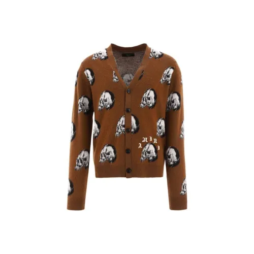 AMIRI Коричневый Мужской Свитеры