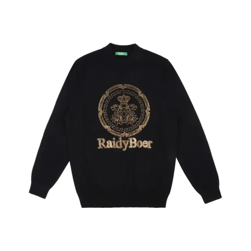 Raidy Boer Мужские Свитера