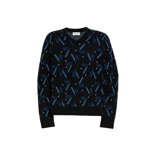 COACH Мужские черные свитеры