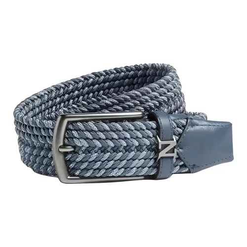 Ermenegildo Zegna Район Вискоза, Хлопок Эластан, Телячья кожа Ремни Мужской