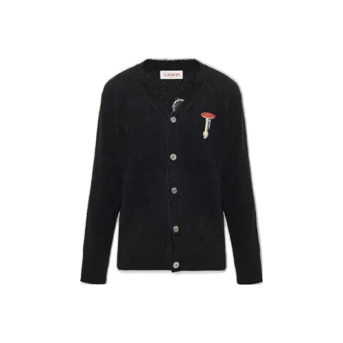 Lanvin Черные Мужские Свитера