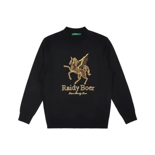 Raidy Boer Мужские Свитера