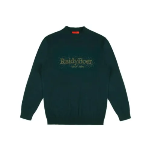 Raidy Boer Мужские Свитера