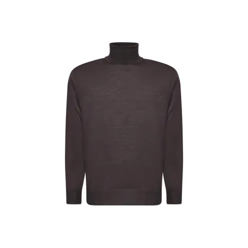 Canali Коричневый Мужской Свитеры