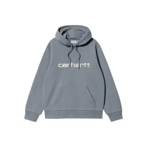 Carhartt WIP С капюшоном Carhartt Свитшот Мужской Голубино-серый