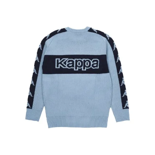 Дворцово-синий унисекс свитеры