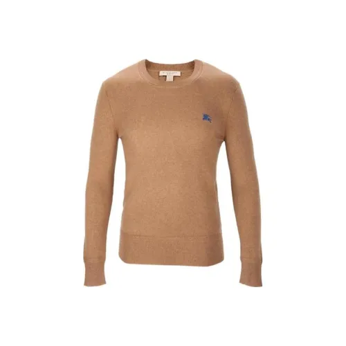 Burberry Светло-коричневые Мужские Свитера