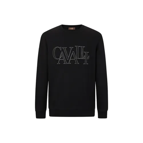 Cavalli Class Мужские Свитшоты
