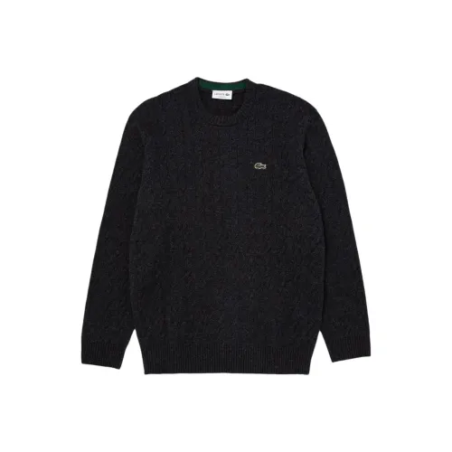 Свитеры для мужчин черного цвета в сотрудничестве с LACOSTE