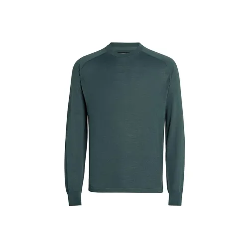 Ermenegildo Zegna Зеленые Мужские Свитера