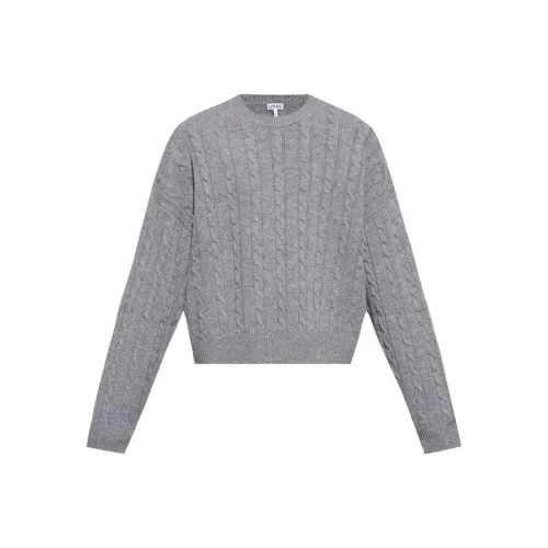 LOEWE Серые Мужские Свитера