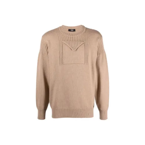 Fendi Коричневые Мужские Свитера