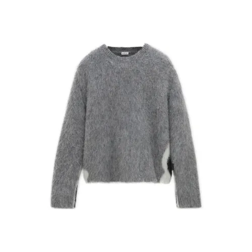 LOEWE Совместное издание Серые Мужские Свитера