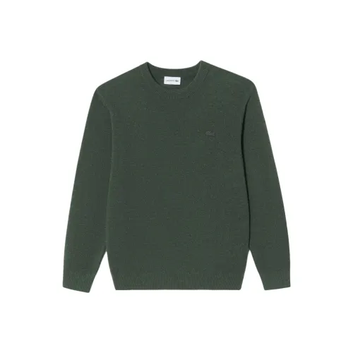 Свитеры для мужчин LACOSTE Collaboration зеленого цвета