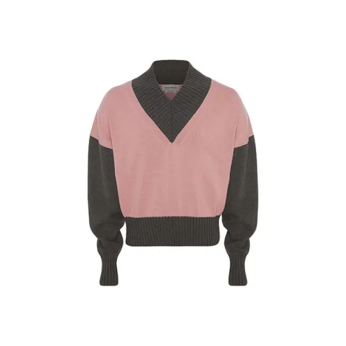 Alexander McQueen Розовые Мужские Свитера