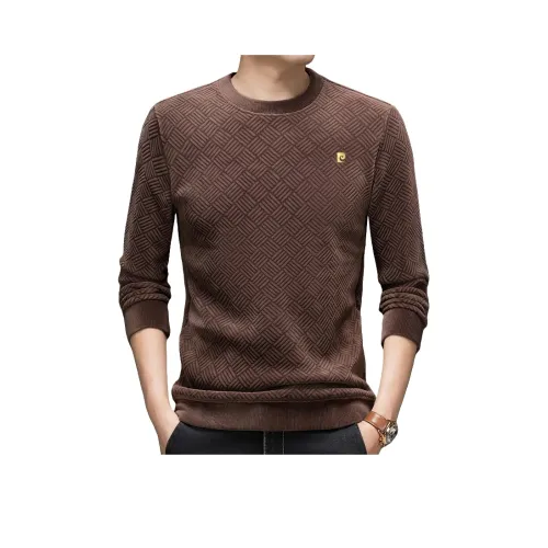 PIERRE CARDIN Мужские Свитшоты