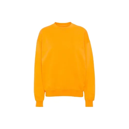Colorful Standard Свитшот Мужской Оранжевый