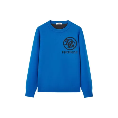 DEGAIA Мужские Свитера