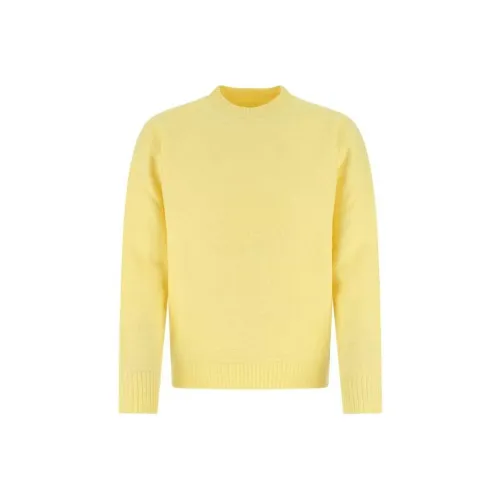 JIL SANDER Желтые Мужские Свитера