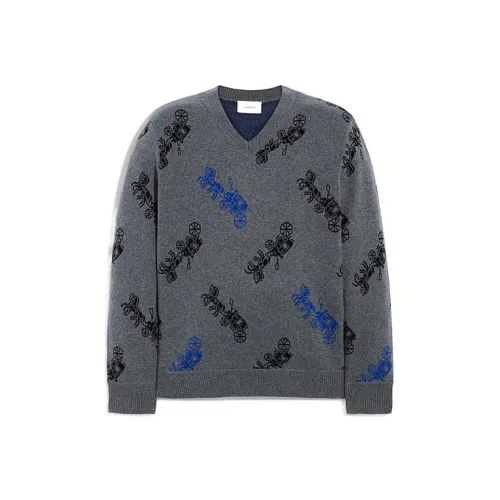 COACH Серый Мужской Свитеры