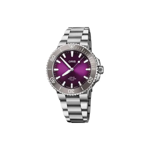 Oris Автоматический Механический Механизм Мужские Часы 41,5 мм Фиолетовый