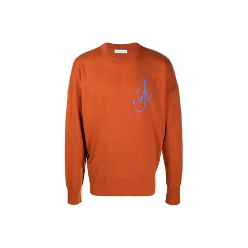 JW Anderson Коричневые Мужские Свитера
