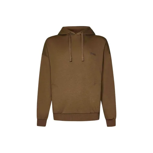Ermenegildo Zegna Коричневый Мужской Свитшот