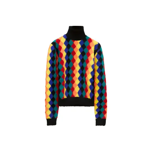 LOEWE Совместное издание Многоцветные Мужские Свитера