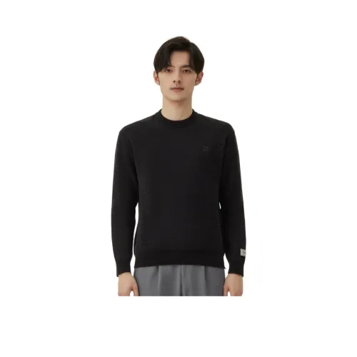 ZIOZIA Мужские Свитера