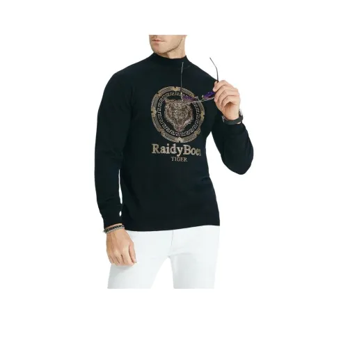 Raidy Boer Мужские Свитера