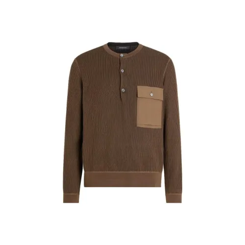 Ermenegildo Zegna Коричневые Мужские Свитера
