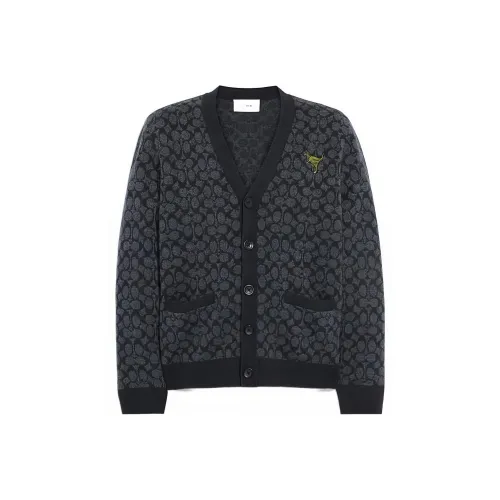 COACH Серый Мужской Свитеры