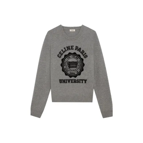 CELINE FW21 Трикотаж Мужской Серый