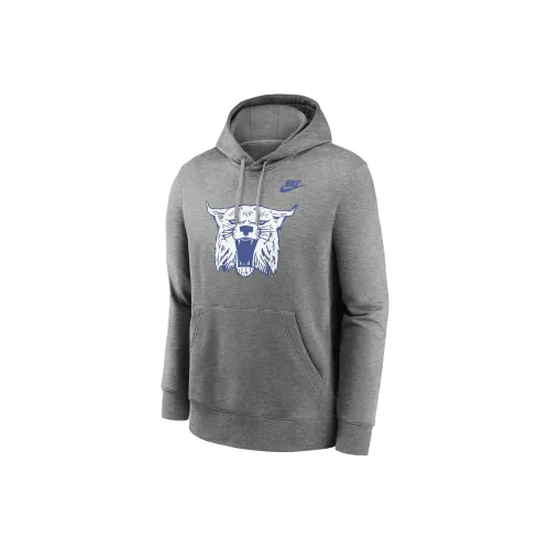 nike CollegeKentucky FW24 Толстовка Мужская Серого цвета