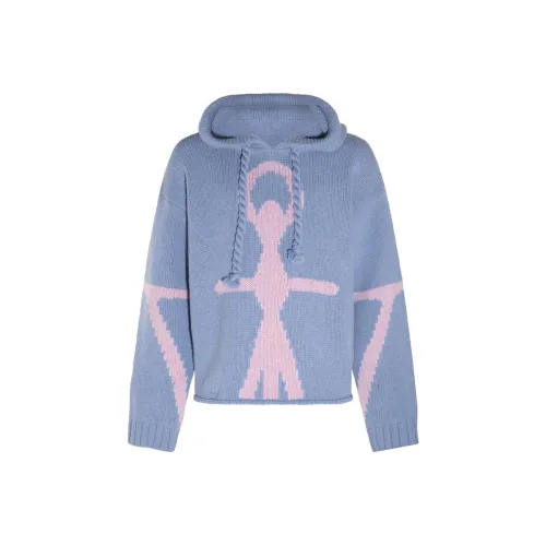 JW Anderson Синие Унисекс Свитера