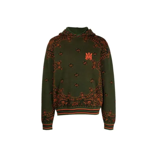 AMIRI Зеленый Мужской Свитшот