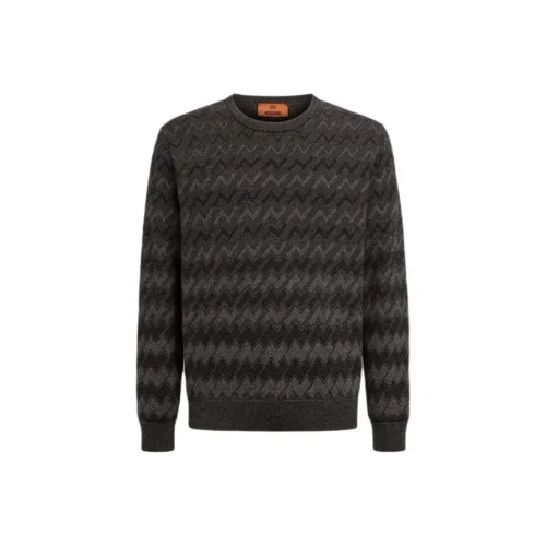 MISSONI Серые Мужские Свитера