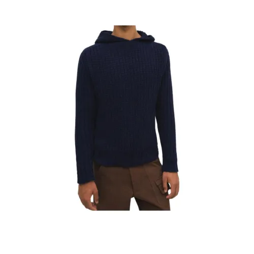 GIMAGUAS Синий Мужской Свитеры