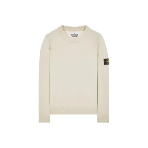 Stone Island Белые Мужские Свитера