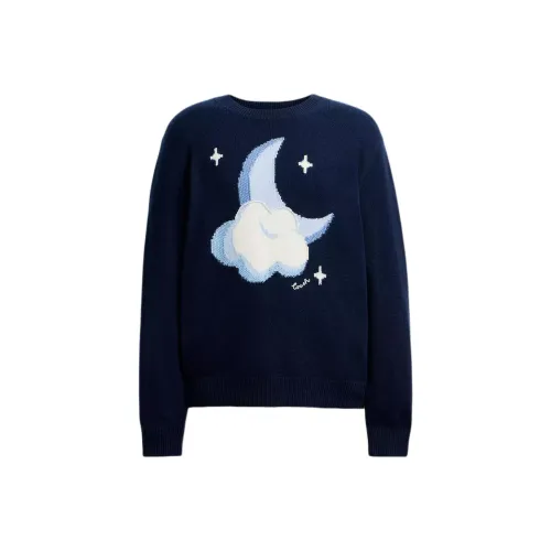 COACH Свитер Мужской Морской Синий