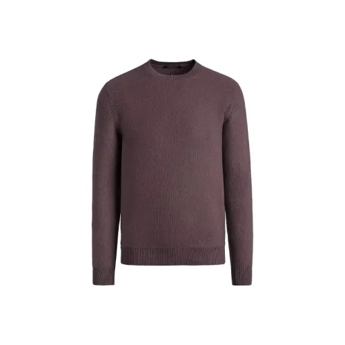 Ermenegildo Zegna Фиолетовый Мужской Кашемировые Свитера