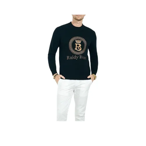 Raidy Boer Мужские Свитера