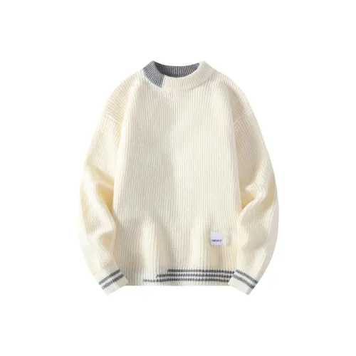 FOREVER 21 Мужские Свитера