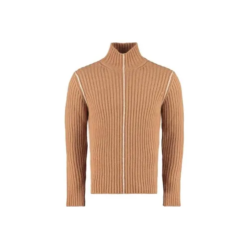 Ferragamo Коричневые Мужские Свитера