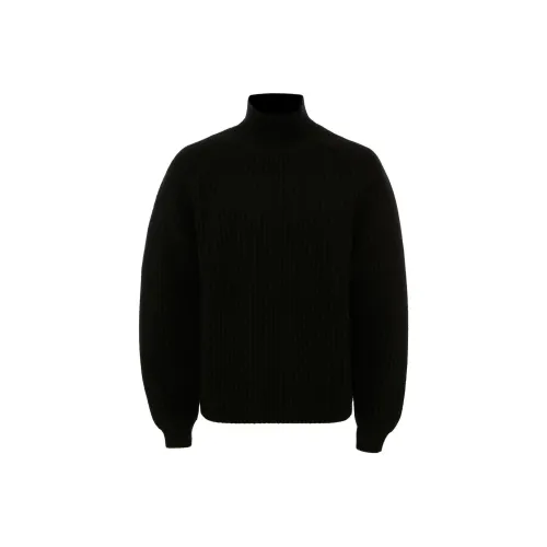 JW Anderson Черные Мужские Свитера